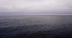 enlarge